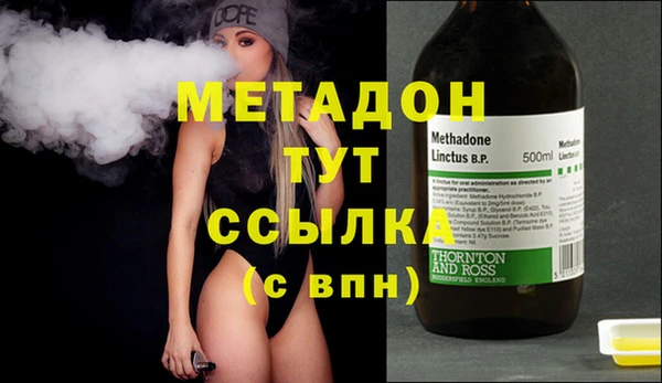 прущие грибы Бородино