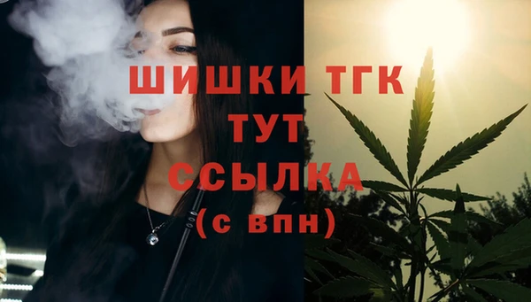 сатива Бронницы