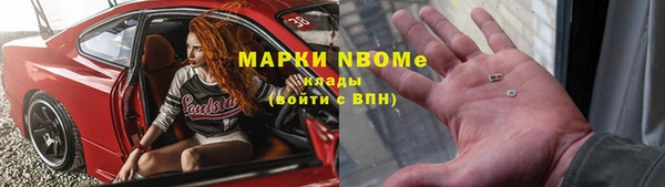 прущие грибы Бородино