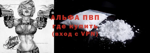 сатива Бронницы