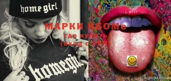 прущие грибы Бородино