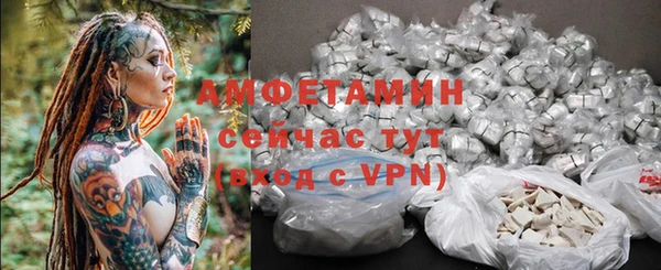 прущие грибы Бородино