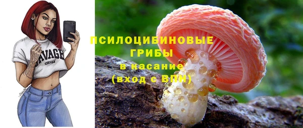 прущие грибы Бородино