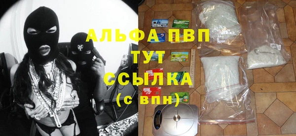 прущие грибы Бородино