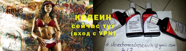 прущие грибы Бородино